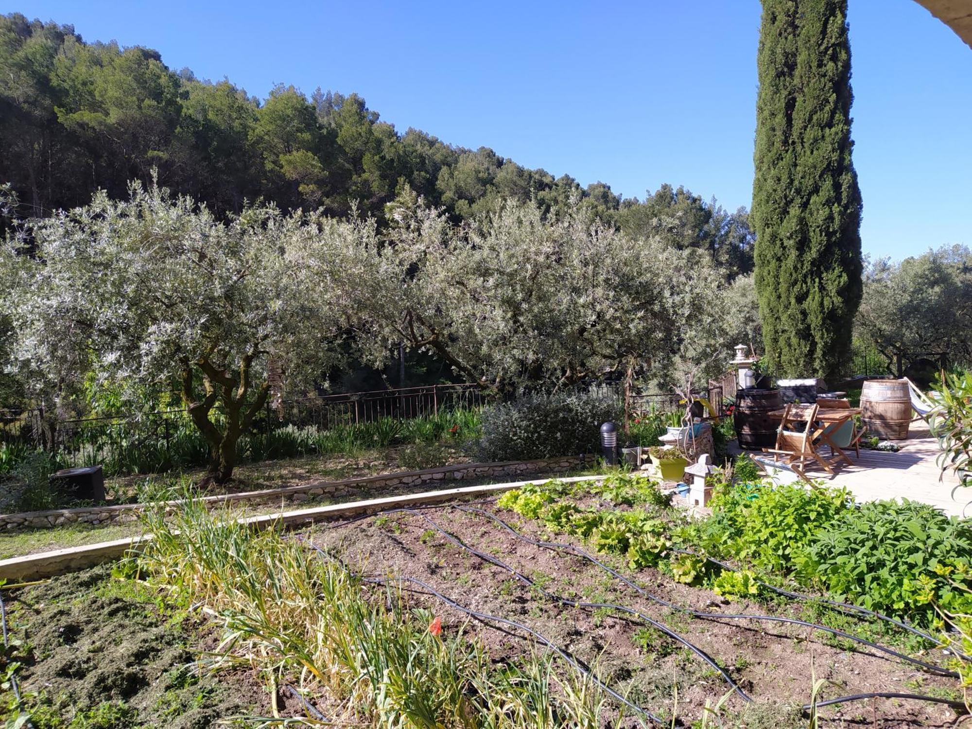 מלון Le Barroux Le Frangipanier חדר תמונה